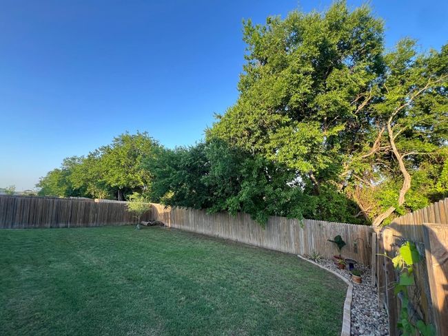 View of yard | Image 36