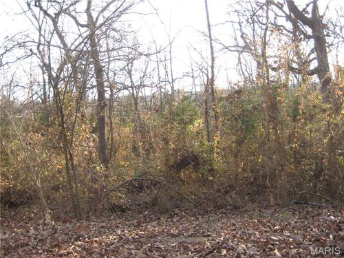 100 Kennett St, De Soto, MO, 63020 | Card Image