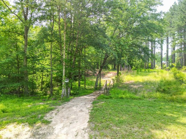 967 Ampthill Rd, House other with 3 bedrooms, 2 bathrooms and null parking in Cartersville VA | Image 53