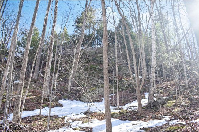 48 Durkin Rd, Home with 0 bedrooms, 0 bathrooms and null parking in North Creek NY | Image 49