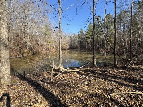 0 Ditney Rd, Bumpus Mills, TN, 37028 | Card Image