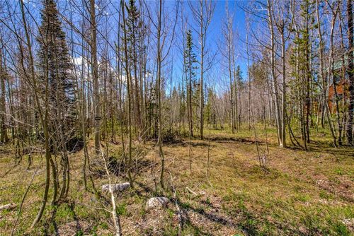 516 Royal Redbird Dr, SILVERTHORNE, CO, 80498 | Card Image