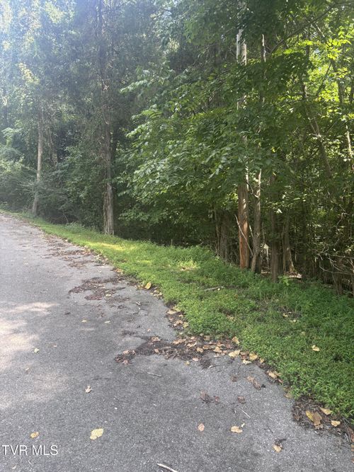 Lot 21-22 Log Cabin Rd, Johnson City, TN, 37615 | Card Image