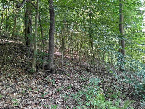Lot 3 E Run Cir, Farmington, WV, 26571 | Card Image