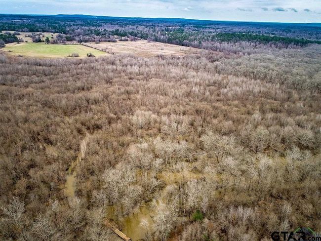 350 AC Cr 1322, Home with 0 bedrooms, 0 bathrooms and null parking in Reklaw TX | Image 12