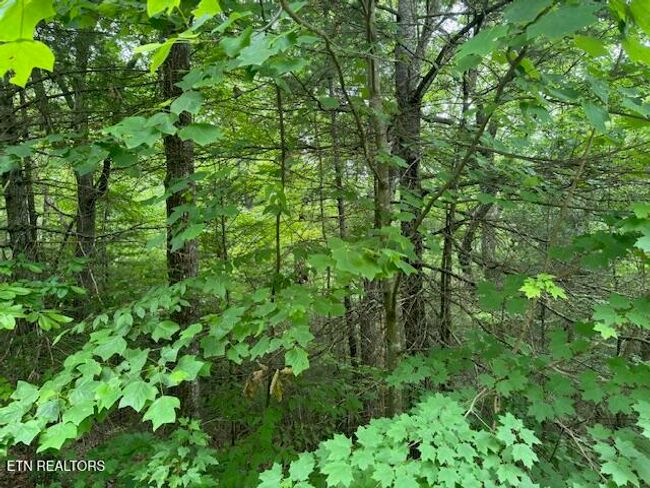 2808 Grist Mill Ln, Home with 0 bedrooms, 0 bathrooms and null parking in Sevierville TN | Image 4