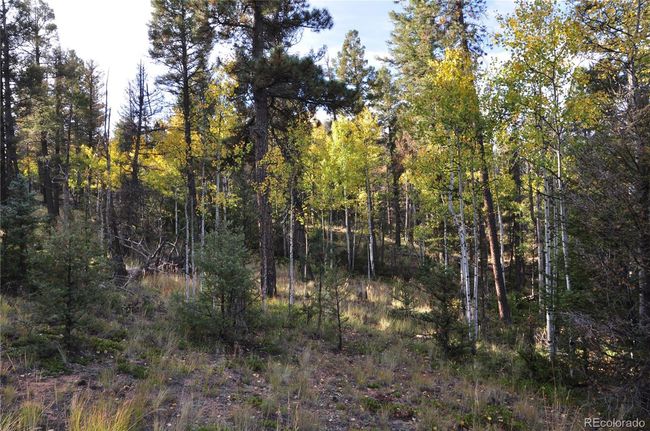 1299 Rangeview Rd, Home with 0 bedrooms, 0 bathrooms and null parking in Divide CO | Image 21
