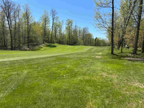 Lot 8 White Tail Dr, Bellaire, MI, 49615 | Card Image