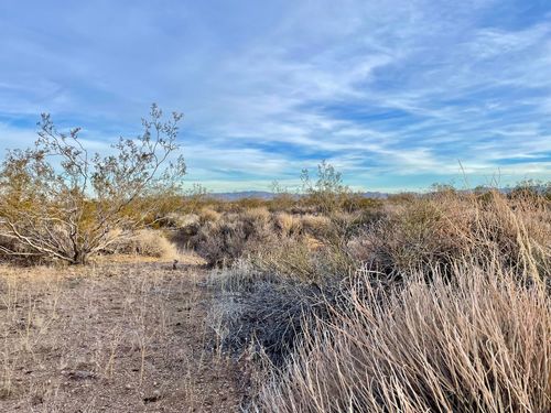 0 Sonora Road, Joshua Tree, CA, 92252 | Card Image