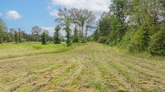 1557 Driskell Bridge Rd, House other with 5 bedrooms, 3 bathrooms and null parking in Harleton TX | Image 45