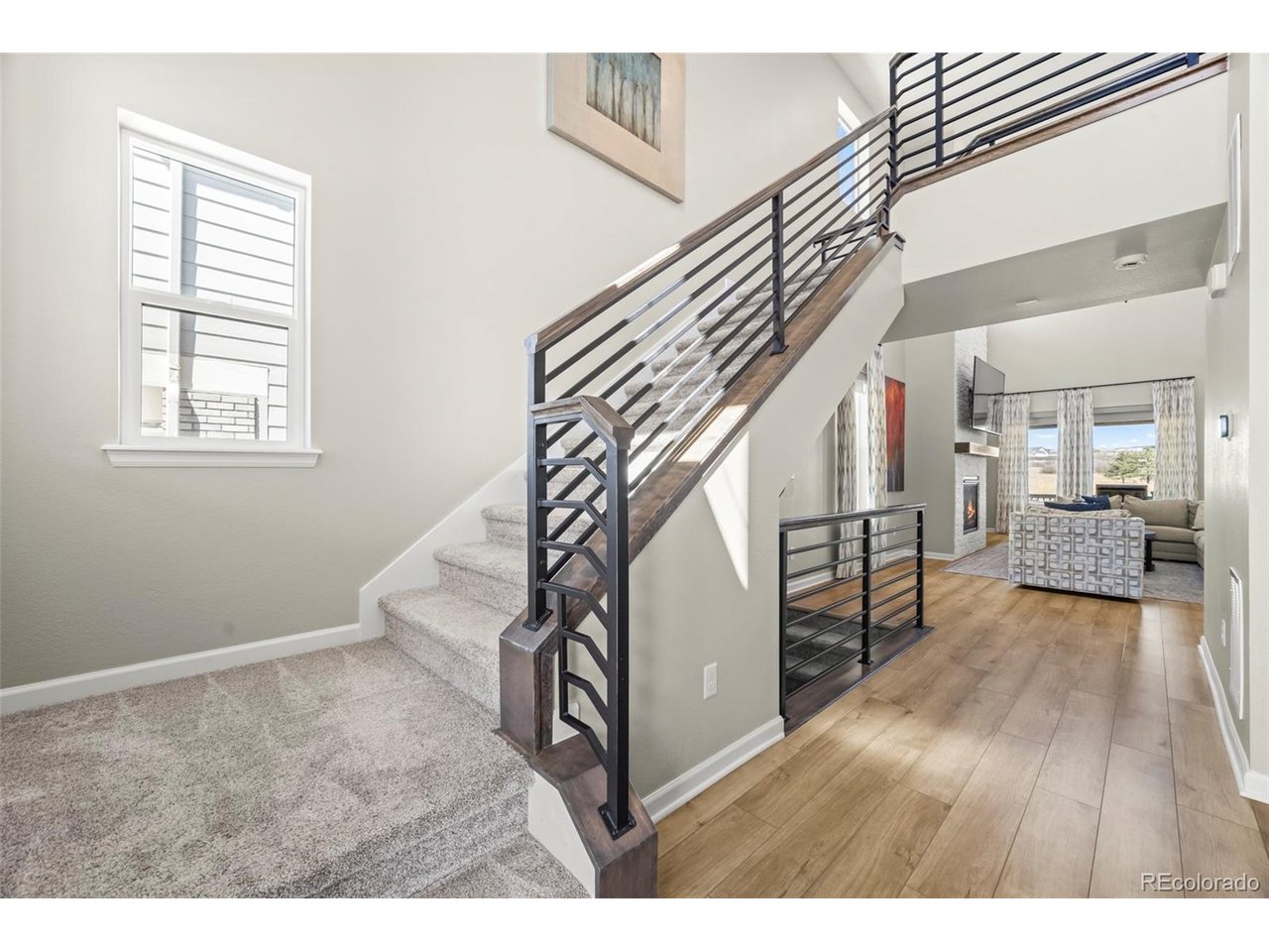 Residential in Castle Rock 4