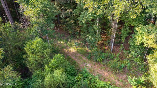 cabins2023-101 | Image 16