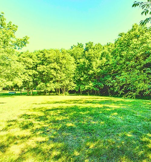 Lot 26 Oak Hill Rd, Bloomington, IL, 61705 | Card Image