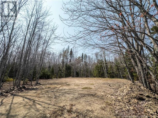 1387 Bells Mills Rd, Home with 0 bedrooms, 0 bathrooms and null parking in Richibouctou-Village NB | Image 16