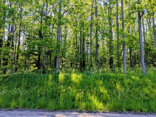 Lot 17 John Street, Central Huron, ON, N0M1E0 | Card Image