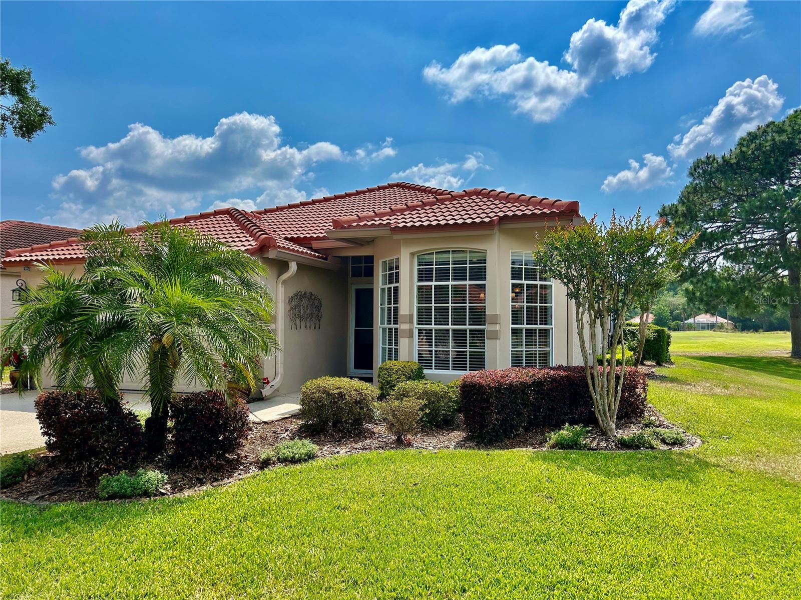 Dartford Dr, Tarpon Springs, FL 34688