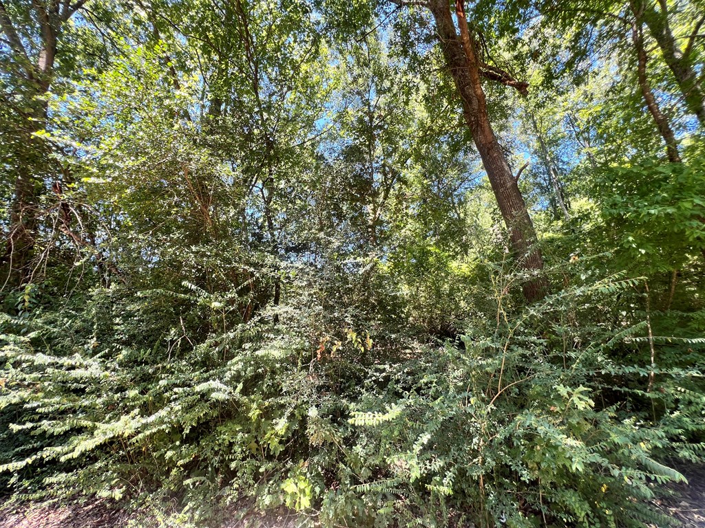 Land in Pollok 5