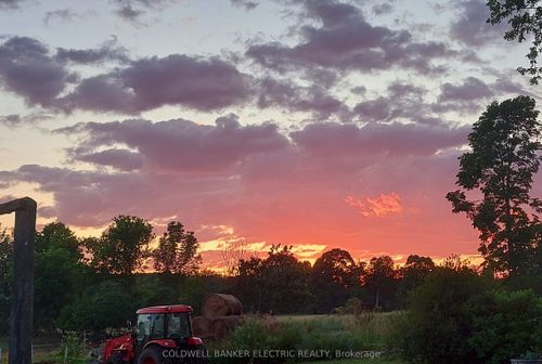 450 Thomasburg Rd, Thomasburg, ON, K0K3H0 | Card Image