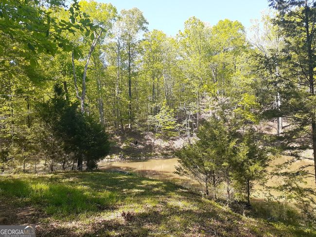1368 Wash Brown Dr, Home with 0 bedrooms, 0 bathrooms and null parking in Elberton GA | Image 40