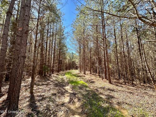 2 County Road 5112, Ethel, MS, 39067 | Card Image