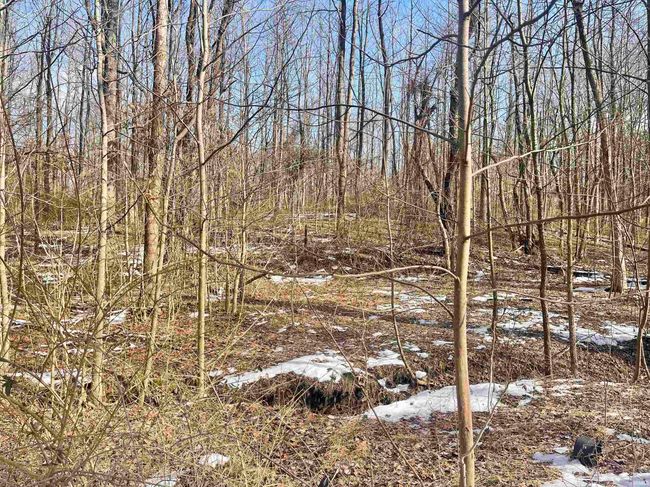 11300 Fuller Rd, Home with 0 bedrooms, 0 bathrooms and null parking in Gentryville IN | Image 20