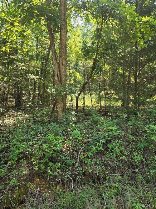 0001 County Road 421, Birch Tree, MO, 65438 | Card Image