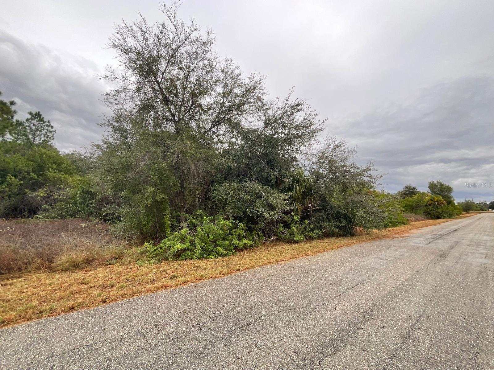 Land in LEHIGH ACRES 4