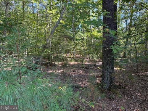 6 Stafford Cv, Ruther Glen, VA, 22546-5205 | Card Image