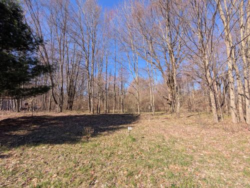 197-6465 Fox Den, Custer, MI, 49405 | Card Image