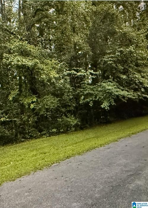 lot-32-LOT 32 Woodside St, Childersburg, AL, 35044-1334 | Card Image