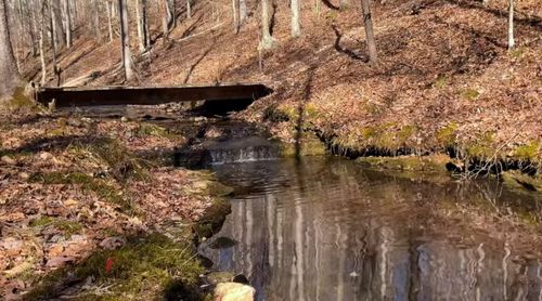 0 Barnhill Rd, Primm Springs, TN, 38476 | Card Image