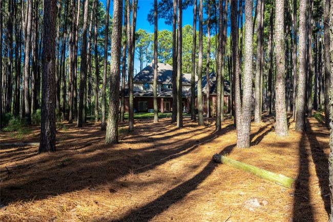 8489 Toler Pt, House other with 5 bedrooms, 4 bathrooms and null parking in Larue TX | Image 25