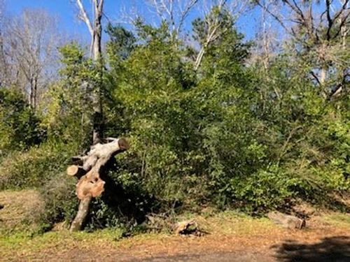 0 Marlin Dr, Hemphill, TX, 75948 | Card Image