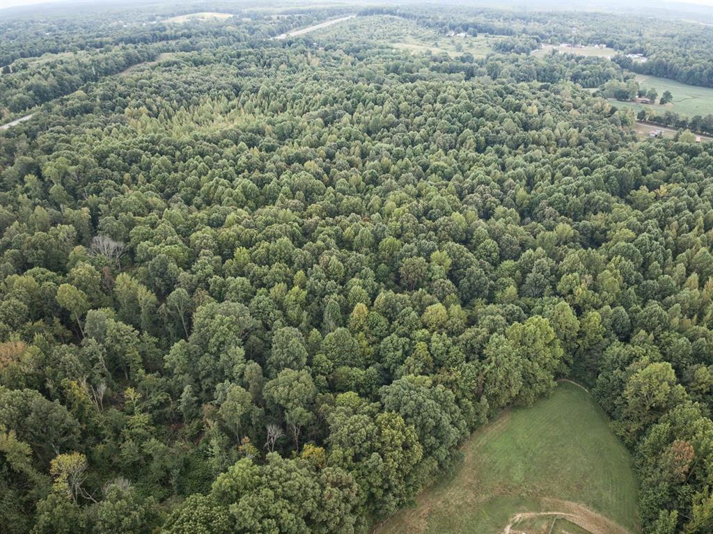 Land in Whitesville 3