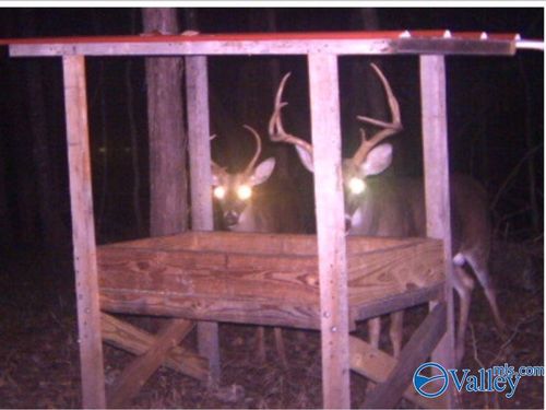 80 ACRES Upper Hurricane Rd, New Market, AL, 35761 | Card Image