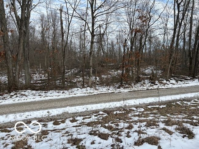 East Side Of Road View | Image 6