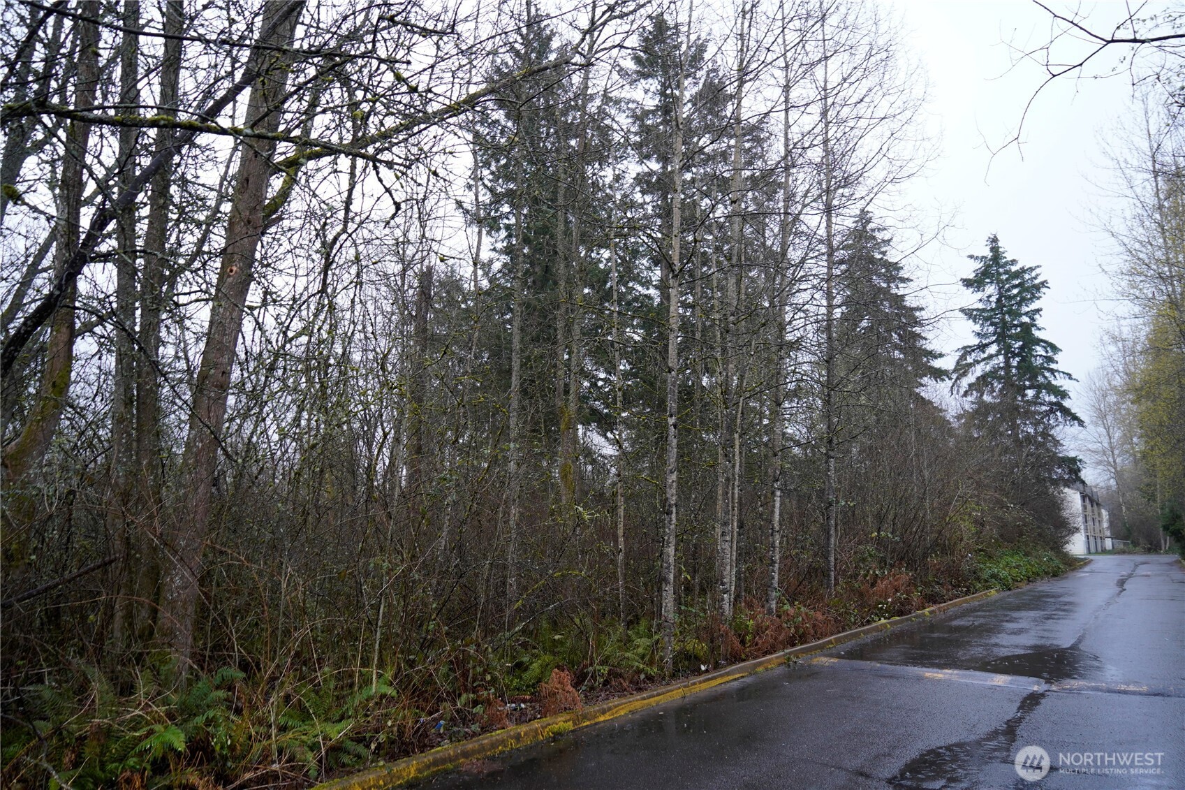 Land in Tacoma 2