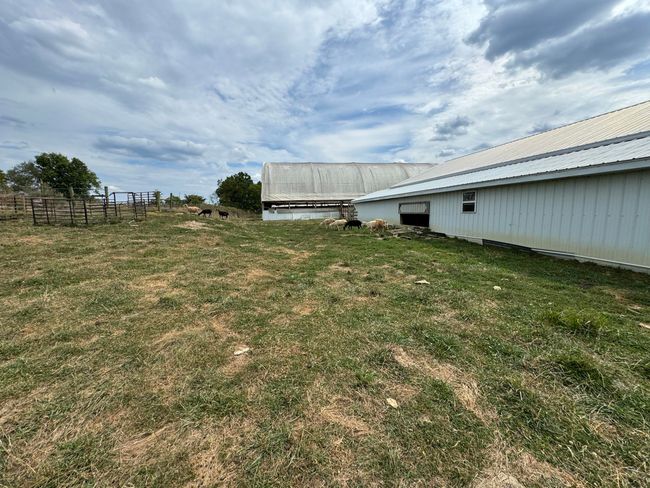 2076 Bald Hill Rd, Home with 5 bedrooms, 1 bathrooms and null parking in Hillsboro KY | Image 36