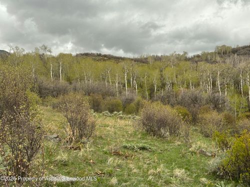 3511 Timberlane Dr, Craig, CO, 81625 | Card Image