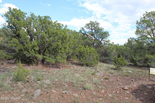 3199-84 County Road 3199, Vernon, AZ, 85940 | Card Image
