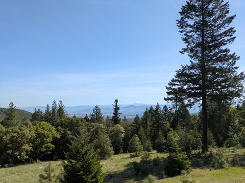 2727 Wagon Trail Dr, Jacksonville, OR, 97530 | Card Image