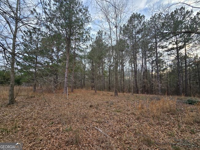 0 Willow St, Home with 0 bedrooms, 0 bathrooms and null parking in Stephens GA | Image 16