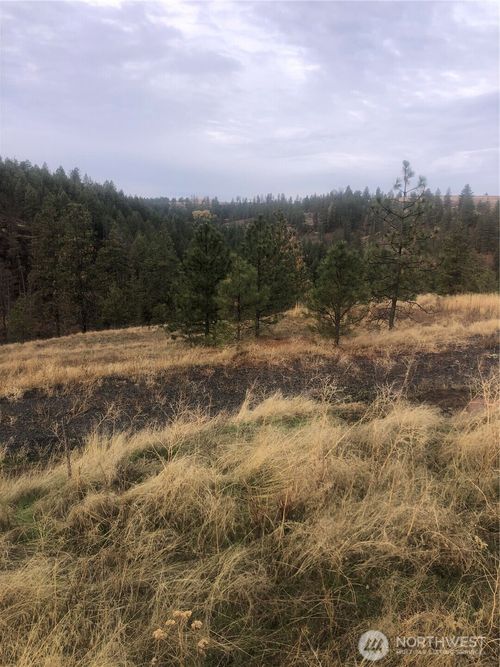 30991 Pine Hen Ln E, Davenport, WA, 99122-5193 | Card Image