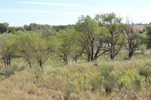 TBD 180, Memphis, TX, 79245 | Card Image