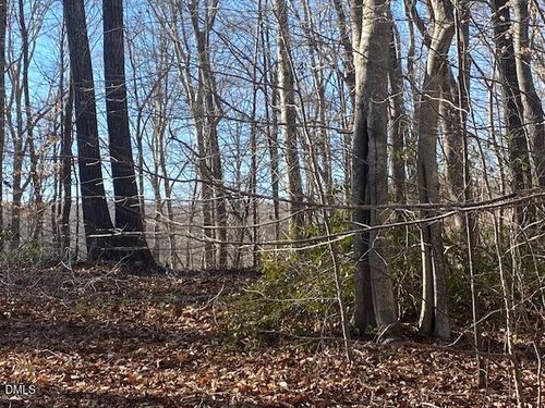 1135 Peninsula Ln, Bullock, NC, 27507 | Card Image