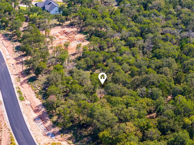 Drone / aerial view of a forest | Image 26