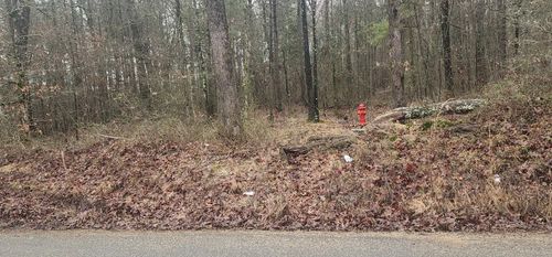 Lot 4 Smith Rd, Rison, AR, 71665-9035 | Card Image
