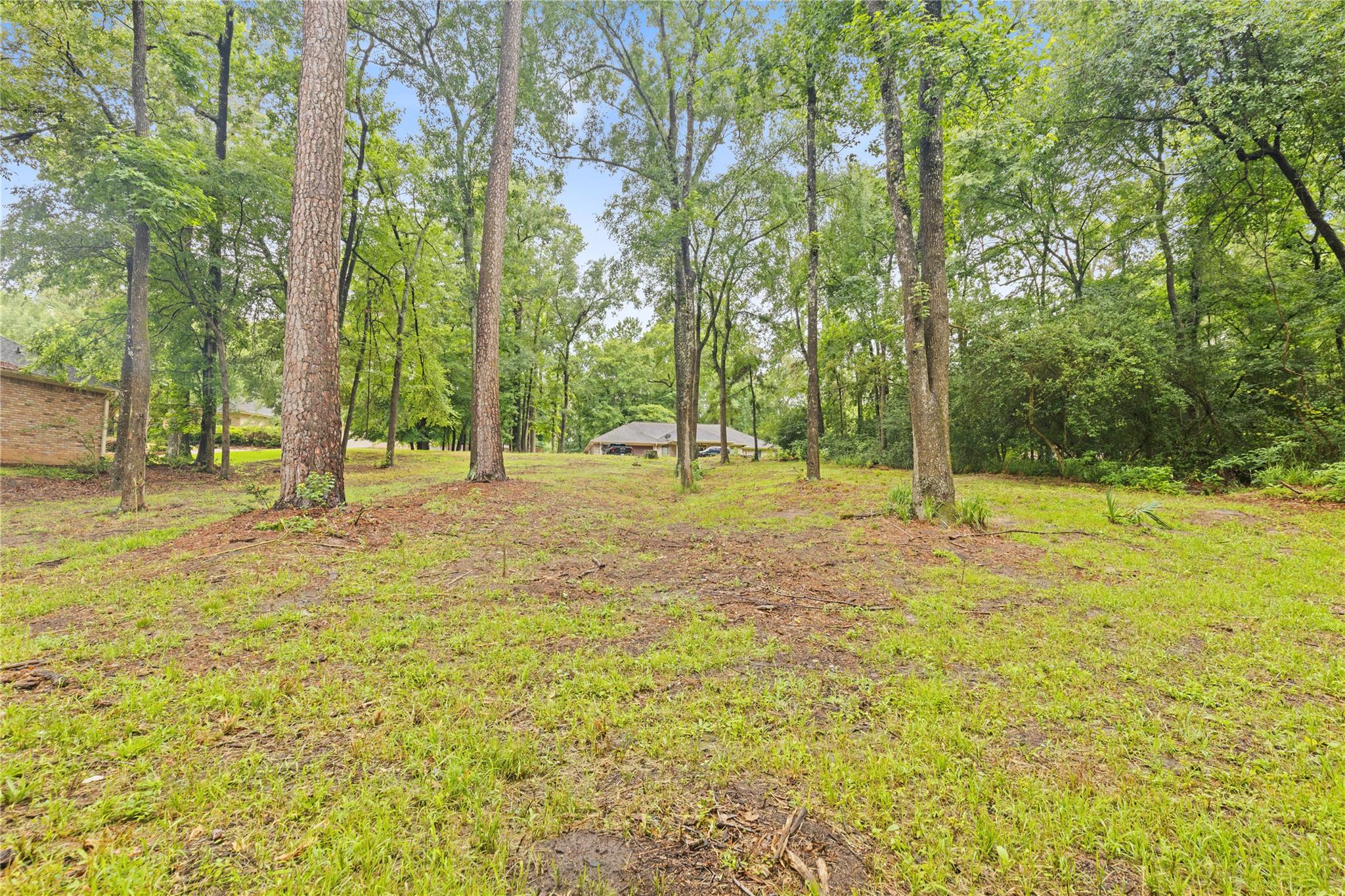 Land in Huntsville 2