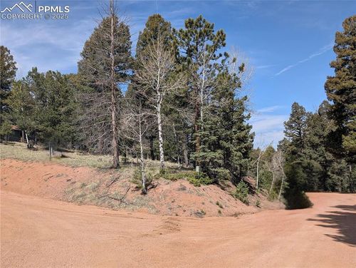 971 Spring Valley Ln, Florissant, CO, 80816-9222 | Card Image