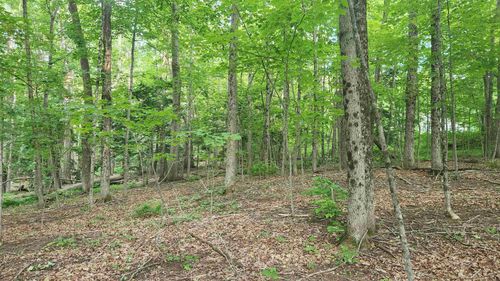 46-2 & 47 Route 153, Middleton, NH, 03887 | Card Image